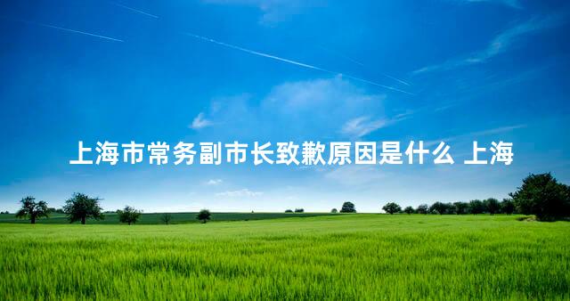 上海市常务副市长致歉原因是什么 上海正部级干部